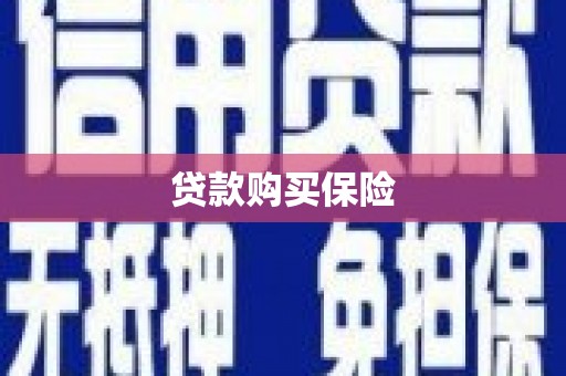 迎泽贷款购买保险