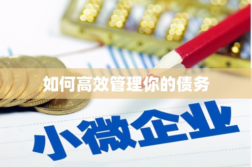 临湘如何高效管理你的债务