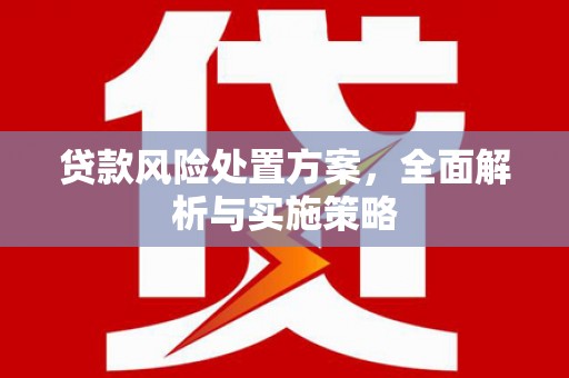 和静贷款风险处置方案，全面解析与实施策略