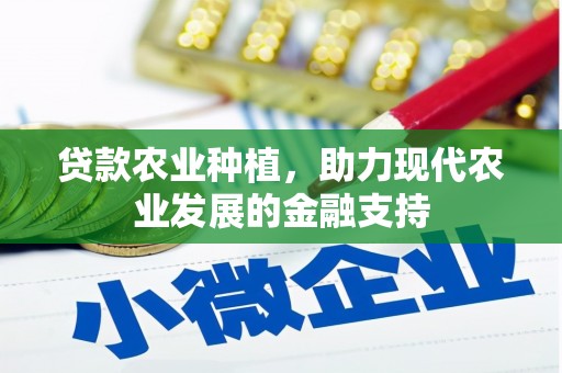 海伦贷款农业种植，助力现代农业发展的金融支持
